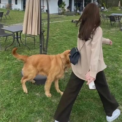 转转