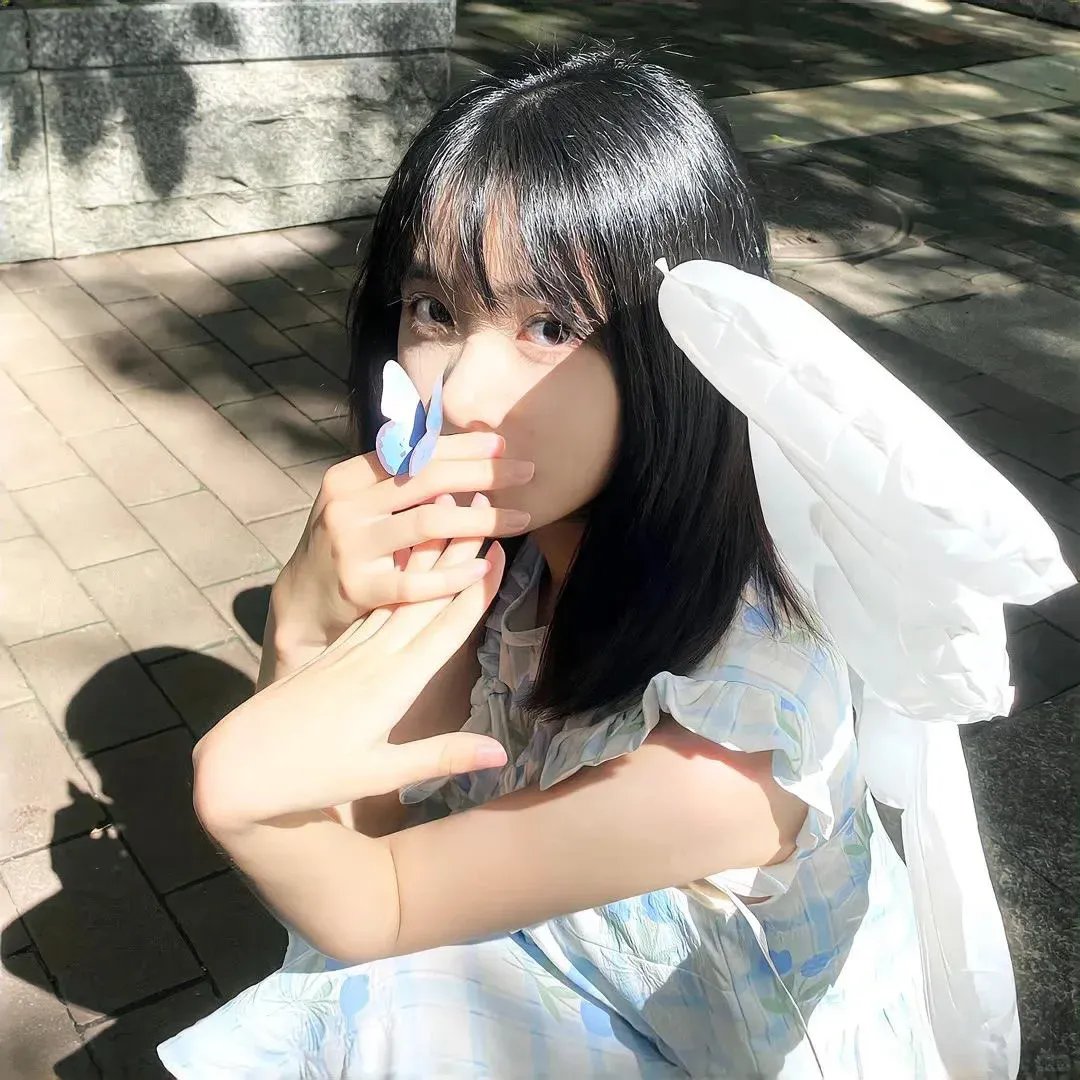 大明天子